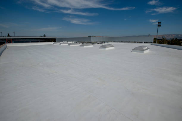 Best Roof Insulation Installation  in Independence, MO