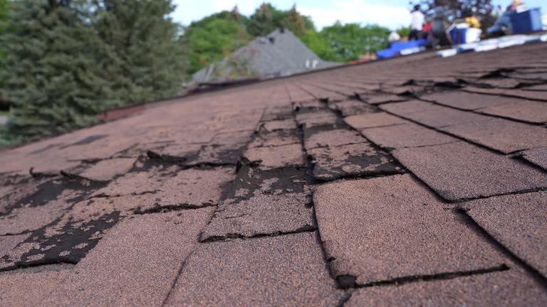 Reliable Independence, MO Roofing Service Solutions
