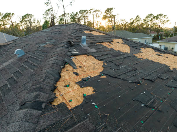 Best Slate Roofing  in Independence, MO