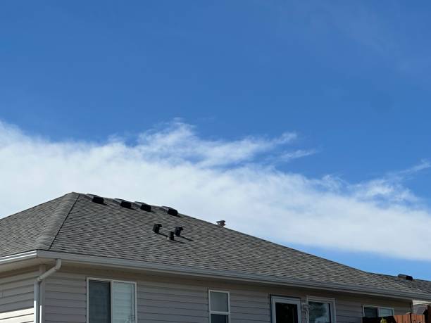 Best Green or Eco-Friendly Roofing Solutions  in Independence, MO
